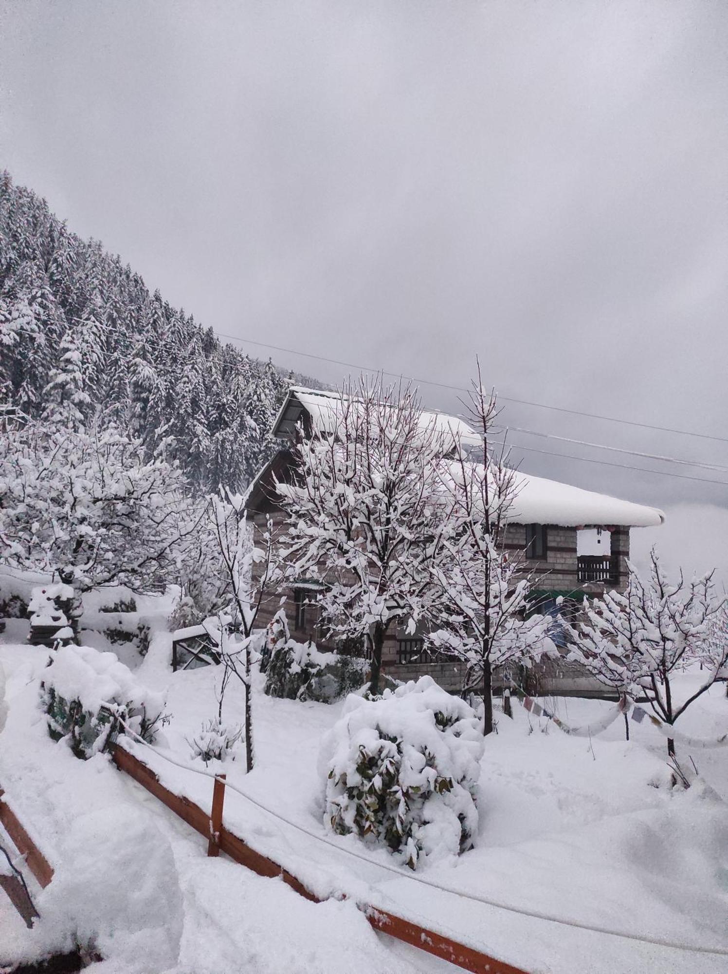 The Hideout - Hiraeth Hostel Manali  Luaran gambar