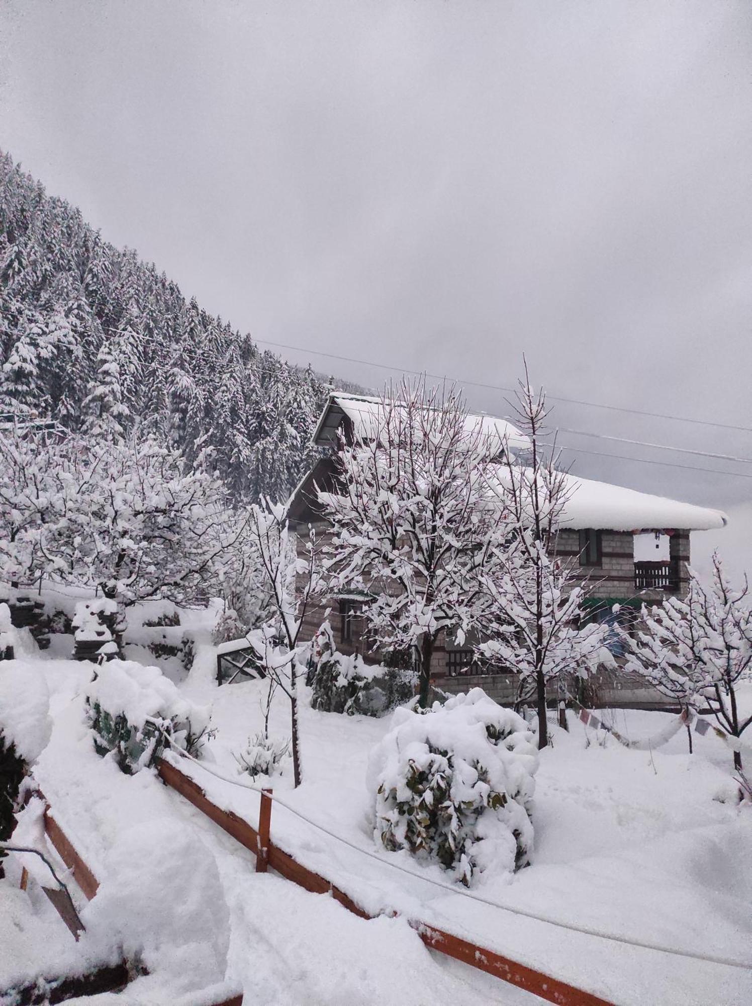 The Hideout - Hiraeth Hostel Manali  Luaran gambar