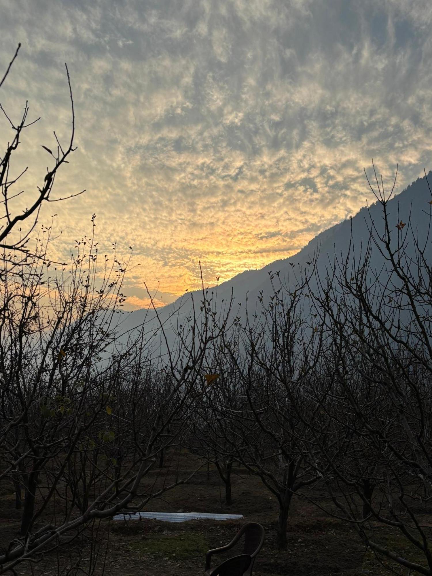 The Hideout - Hiraeth Hostel Manali  Luaran gambar