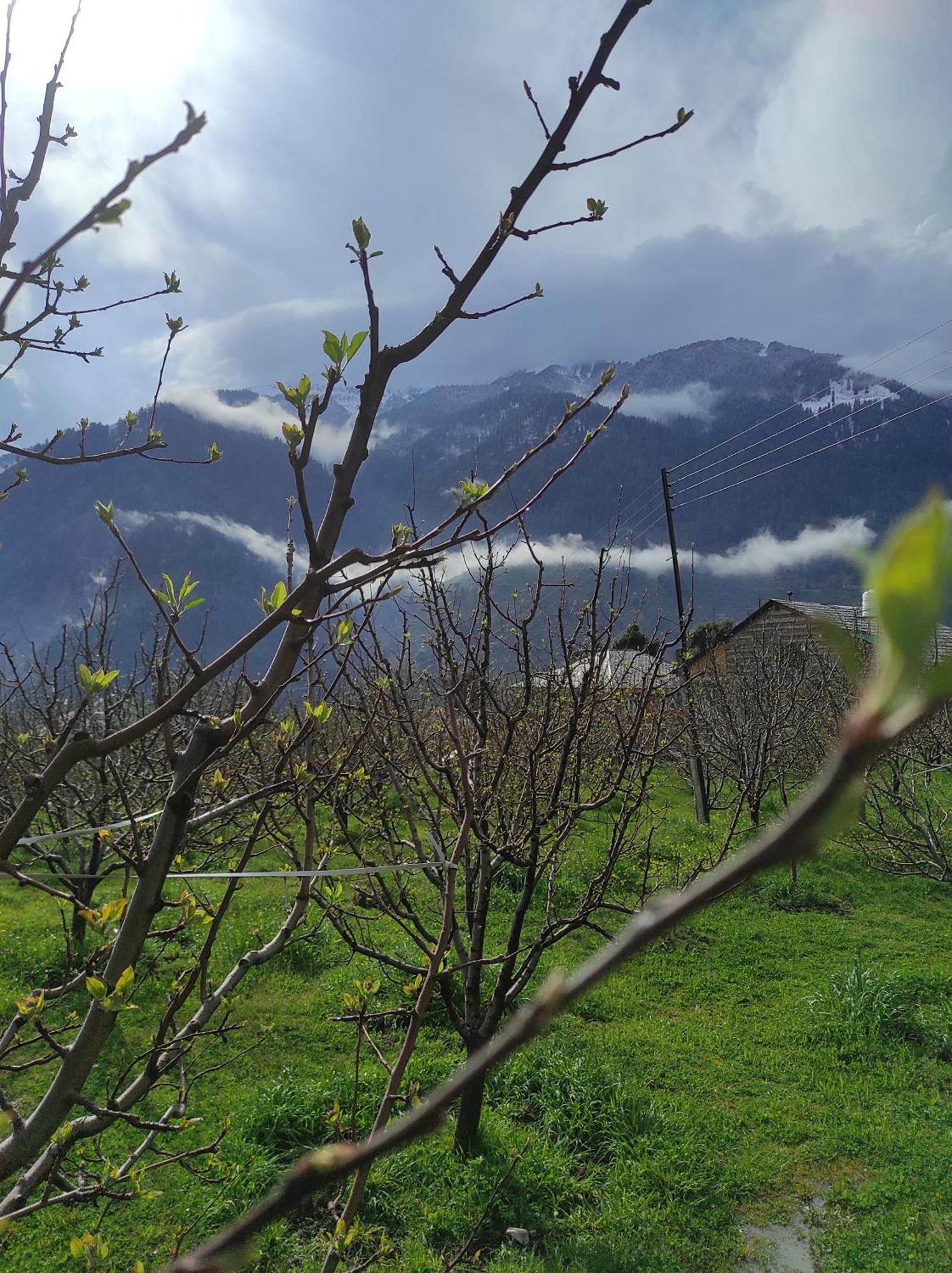 The Hideout - Hiraeth Hostel Manali  Luaran gambar
